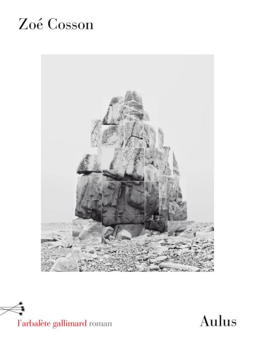 Emprunter Aulus livre