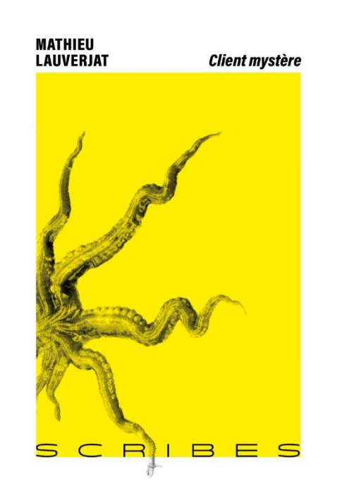 Emprunter Client mystère livre