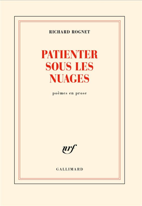 Emprunter Patienter sous les nuages livre