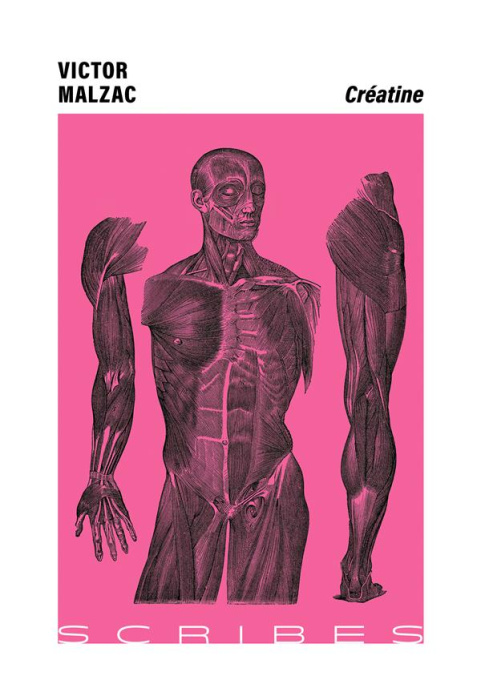 Emprunter Créatine livre