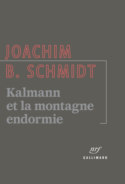Emprunter Kalmann et la montagne endormie livre