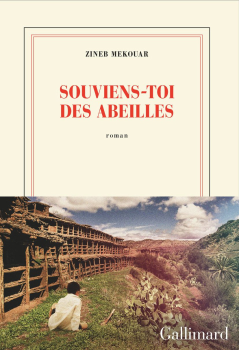 Emprunter Souviens-toi des abeilles livre