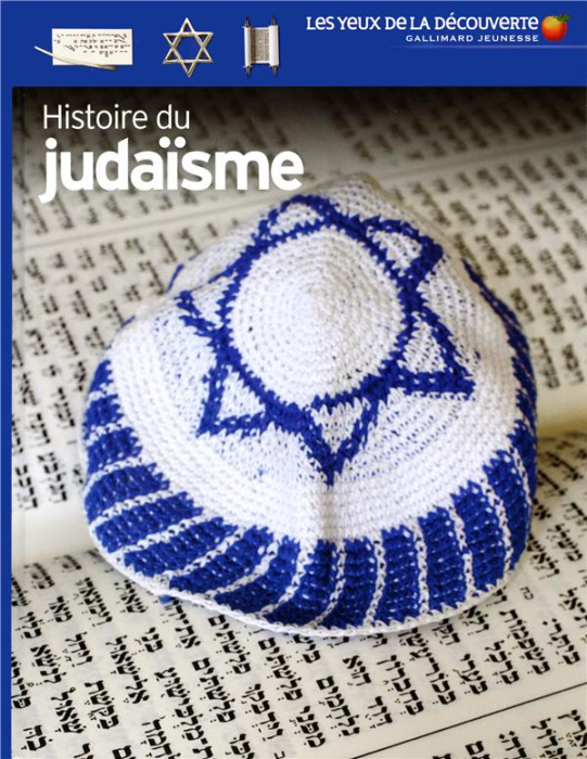 Emprunter HISTOIRE DU JUDAISME livre