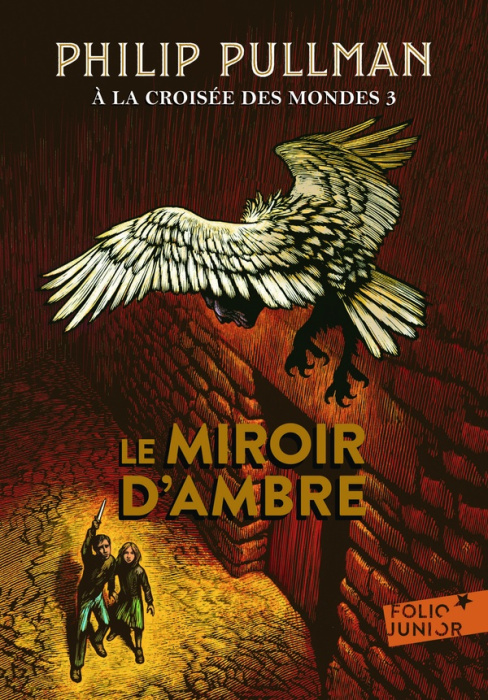 Emprunter A la croisée des mondes Tome 3 : Le Miroir d'ambre livre