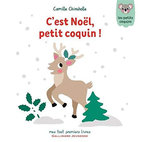 Emprunter Les petits coquins : C'est Noël, petit coquin ! livre