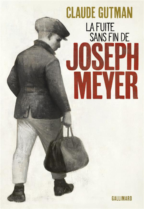 Emprunter La Fuite sans fin de Joseph Meyer livre