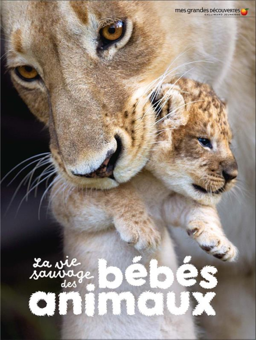 Emprunter La vie sauvage des bébés animaux livre