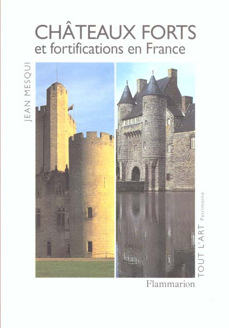 Emprunter Châteaux forts et fortifications en France livre