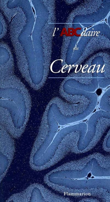 Emprunter L'ABCdaire du cerveau livre