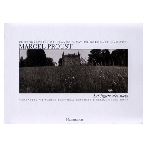 Emprunter MARCEL PROUST. La figure des pays livre
