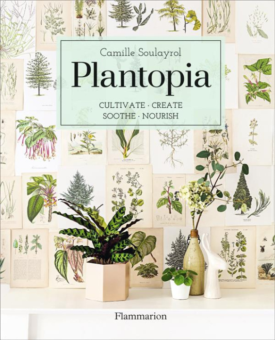 Emprunter PLANTOPIA - CULTIVATE. CREATE. SOOTHE. NOURISH. - ILLUSTRATIONS, COULEUR livre