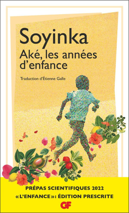 Emprunter Aké, les années d'enfance livre