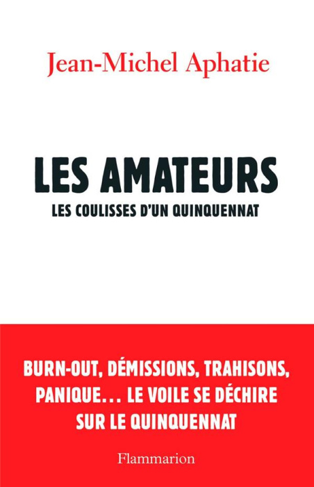 Emprunter LES AMATEURS - LES COULISSES D'UN QUINQUENNAT livre