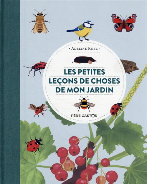 Emprunter Les petites leçons de choses de mon jardin livre