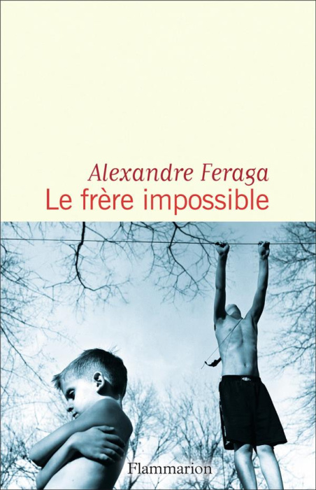 Emprunter Le frère impossible livre