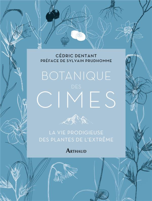 Emprunter Botanique des cimes. La vie prodigieuse des plantes de l'extrême livre