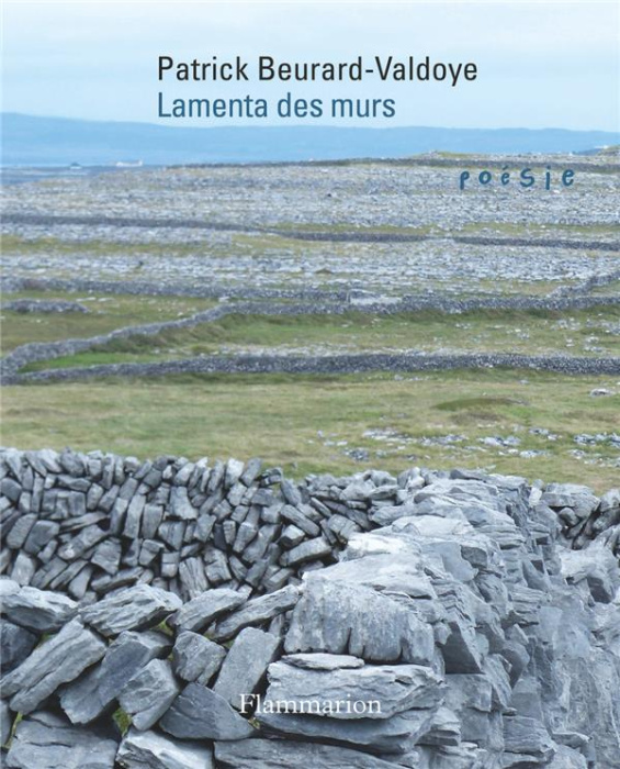 Emprunter Lamenta des murs livre