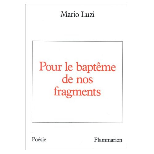 Emprunter Pour le baptême de nos fragments livre