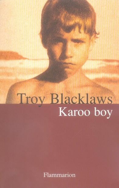 Emprunter Karoo Boy livre