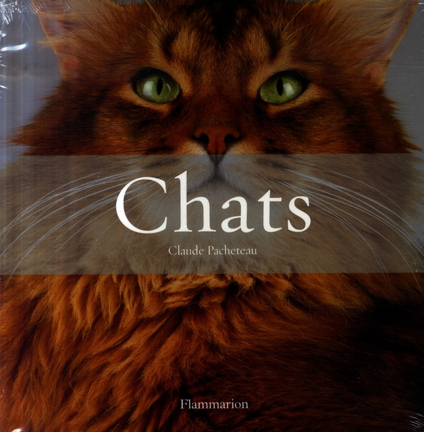 Emprunter Chats Coffret en 2 volumes : Histoires de chats ; Les plus beaux chats livre