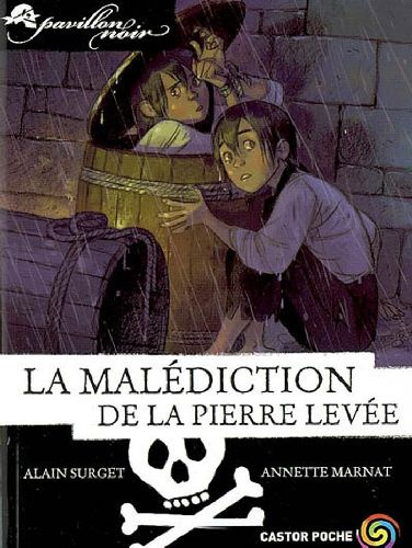 Emprunter Pavillon noir Tome 10 : La malédiction de la pierre levée livre