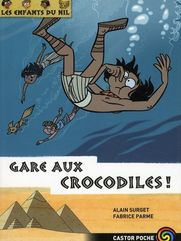 Emprunter Les enfants du Nil Tome 14 : Gare aux crocodiles ! livre