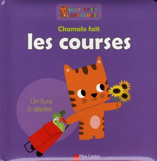 Emprunter Chamalo fait les courses livre