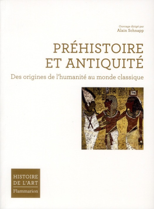 Emprunter Préhistoire et Antiquité. Des origines de l'humanité au monde classique livre