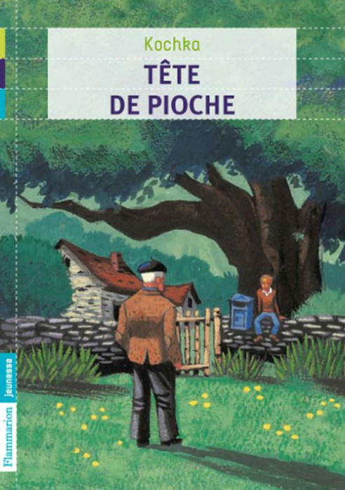 Emprunter Tête de pioche livre