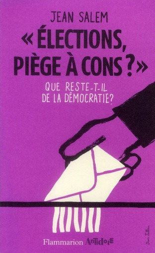 Emprunter Elections, piège à cons ?. Que reste-t-il de la démocratie ? livre