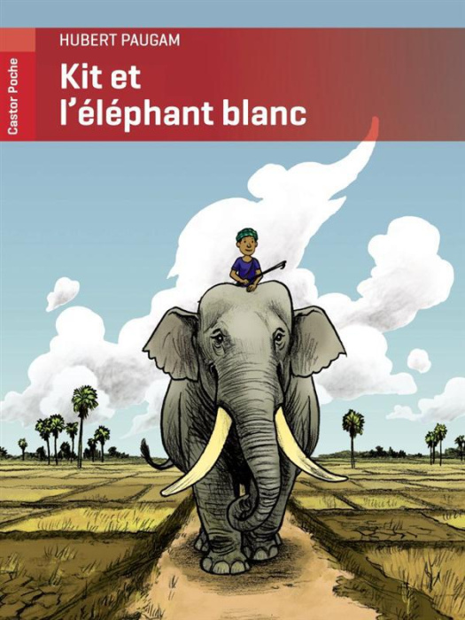 Emprunter Kit et l'éléphant blanc livre