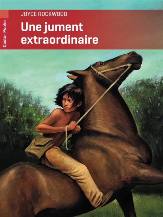 Emprunter Une jument extraordinaire livre