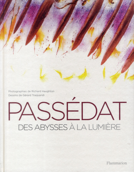 Emprunter Passedat. Des abysses à la lumière livre