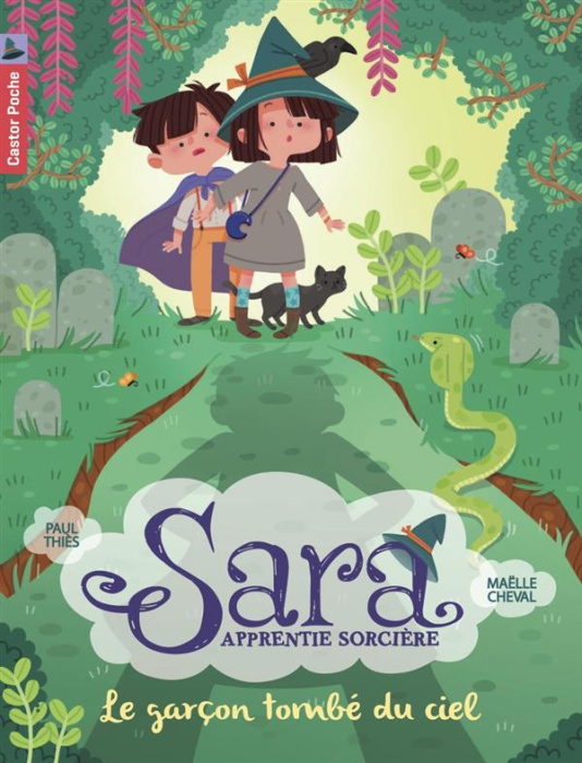 Emprunter Sara apprentie sorcière Tome 1 : Le garçon tombé du ciel livre