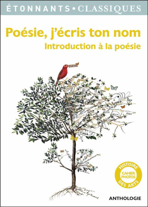Emprunter Poésie, j'écris ton nom livre