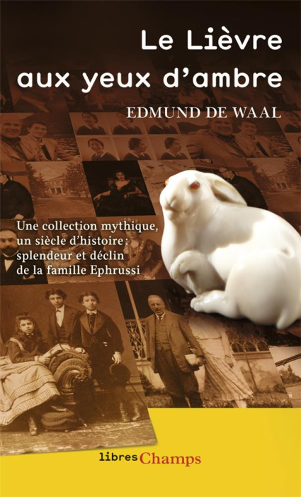 Emprunter Le Lièvre aux yeux d'ambre livre