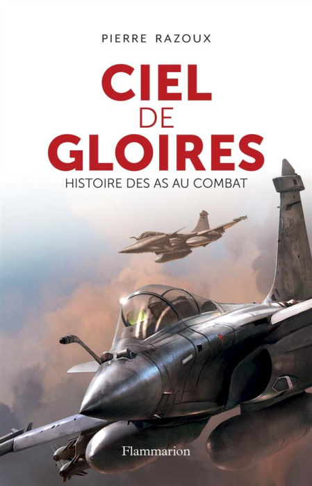 Emprunter Ciel de gloires. Histoire des as au combat livre