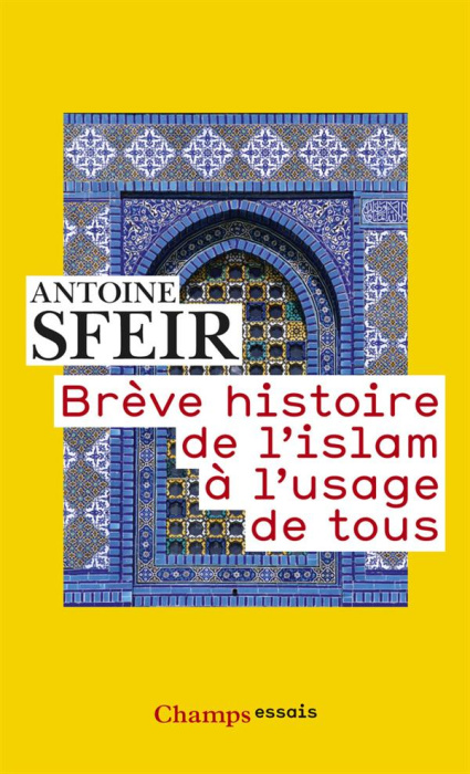 Emprunter Brève histoire de l'islam à l'usage de tous livre