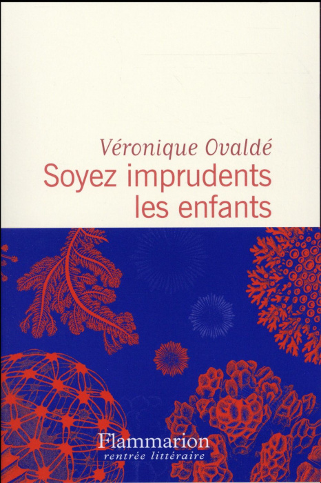 Emprunter Soyez imprudents les enfants livre