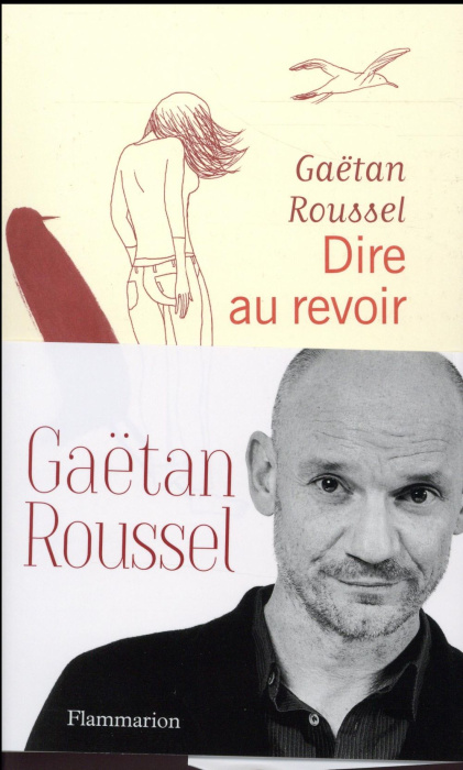 Emprunter Dire au revoir. Nouvelles livre