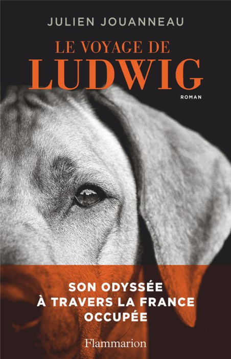 Emprunter Le voyage de Ludwig livre