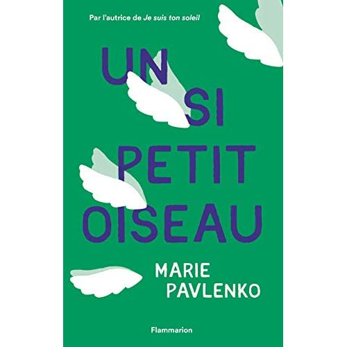 Emprunter Un si petit oiseau livre
