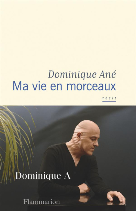 Emprunter Ma vie en morceaux livre