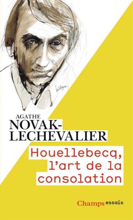 Emprunter Houellebecq, l'art de la consolation livre
