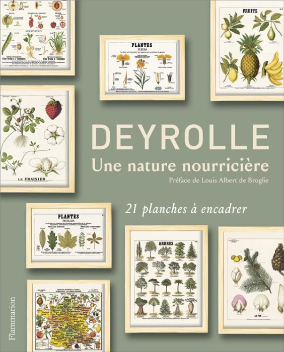 Emprunter Deyrolle, une nature nourricière. 21 planches à encadrer livre
