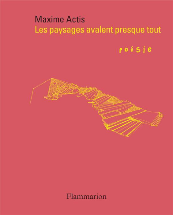 Emprunter Les paysages avalent presque tout livre