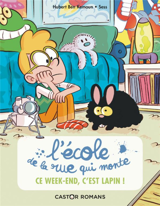 Emprunter L'école de la rue qui monte Tome 2 : Ce week-end, c'est lapin ! livre