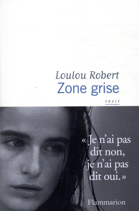 Emprunter Zone grise livre