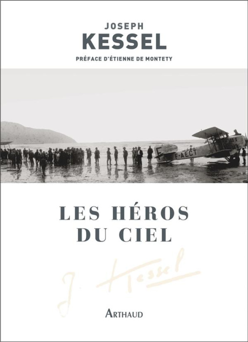 Emprunter Les héros du ciel livre