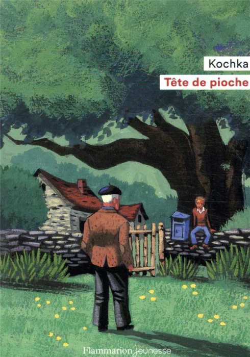 Emprunter Tête de pioche livre